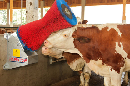 KRTACA vrtljiva - HappyCow Classic PP
