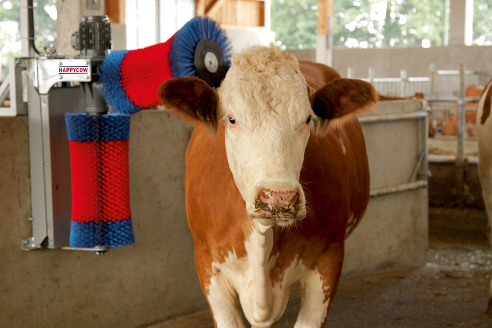 KRTACA vrtljiva - HappyCow Duo