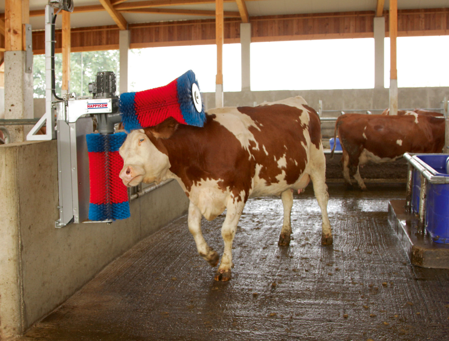 KRTACA vrtljiva - HappyCow Duo