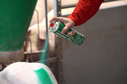 SPREJ za oznacevanje TopMarker 500ml - zelen