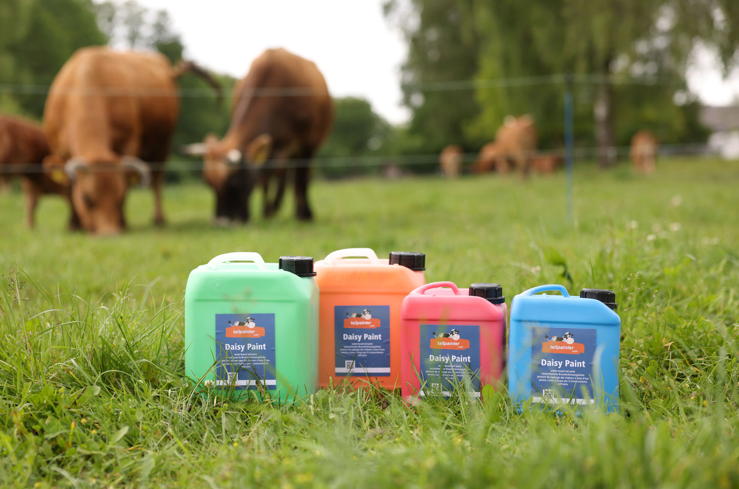 Daisy Paint, oranžna, 2,5 l