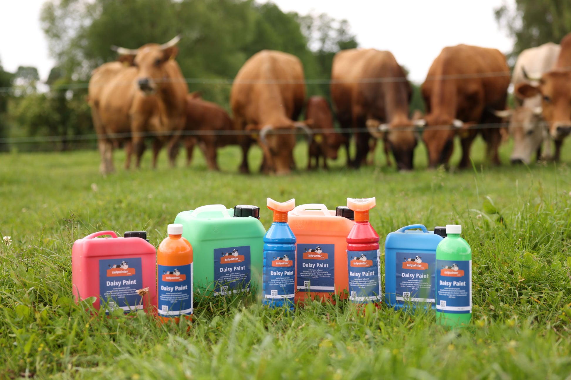 Daisy Paint, zelena, 5 l
