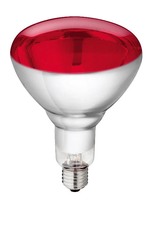 ŽARNICA IR kaljeno steklo 250W Philips