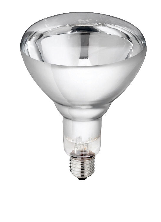 ŽARNICA IR bela kaljeno steklo 250W Philips