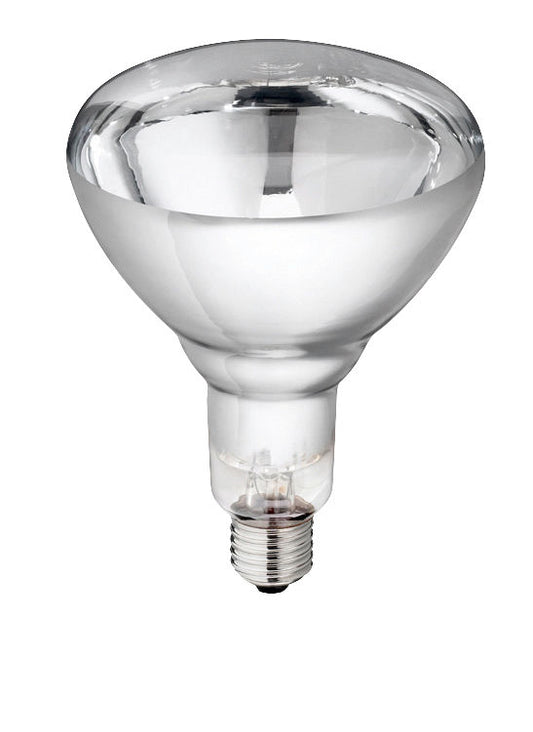 ŽARNICA IR bela kaljeno steklo 250W Philips