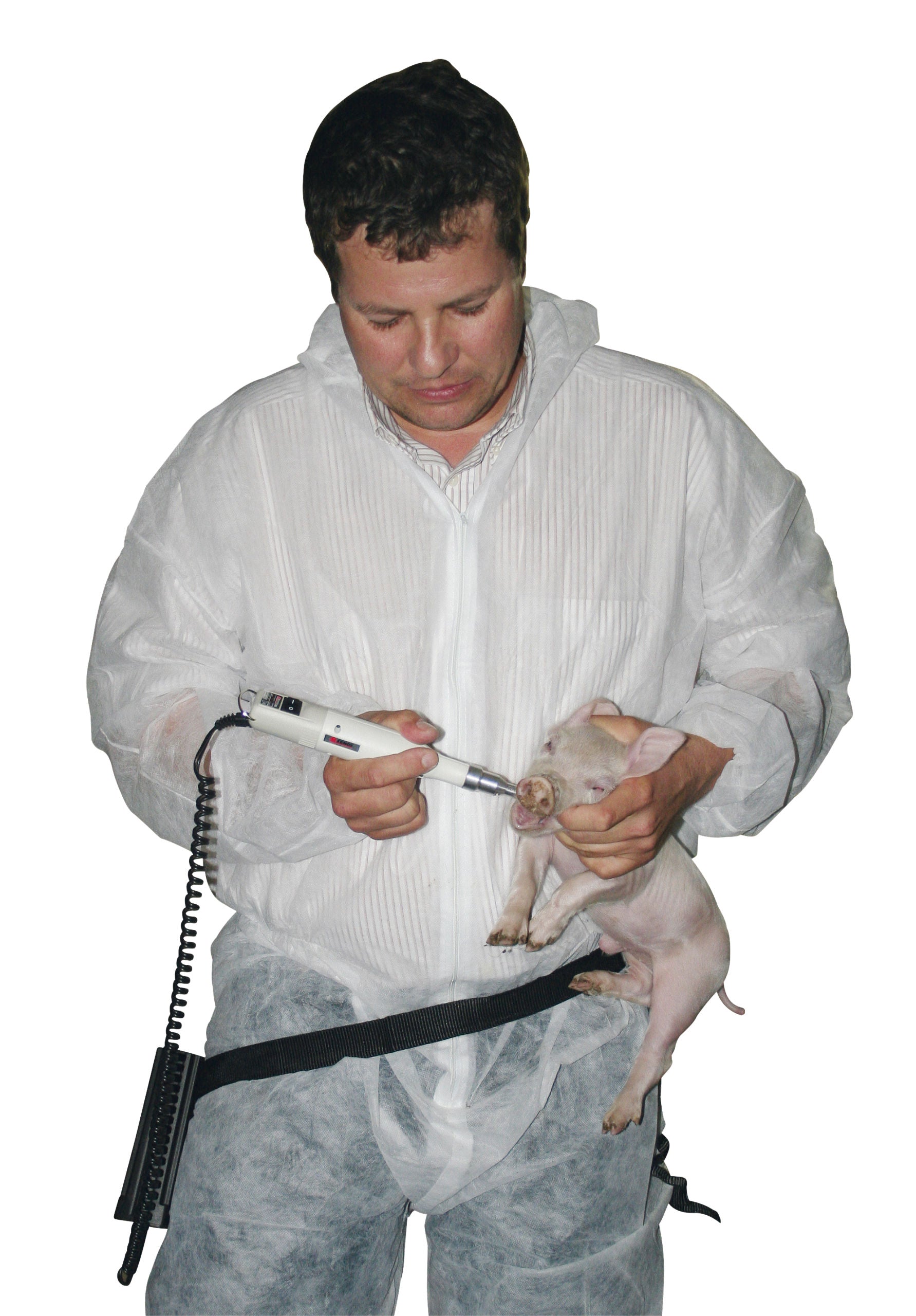 BRUSILEC za zobe ProPig brezžicni