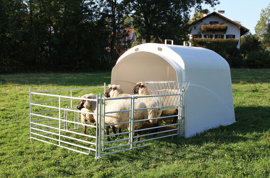 IGLU Premium Plus XL - z ogrado za drobnico