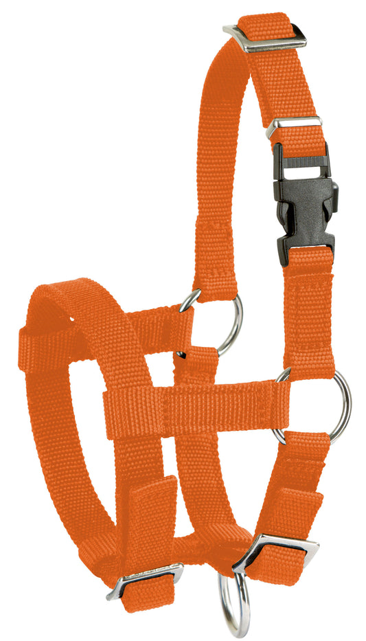 Oglavnik za alpake, nastavljiv oranžn3 barv3, 20mm PP
