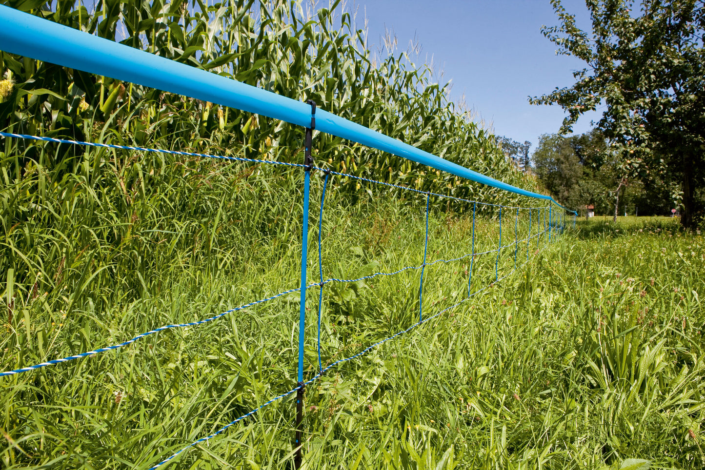 MREŽA za divje svinje  75cm enojna - 50m