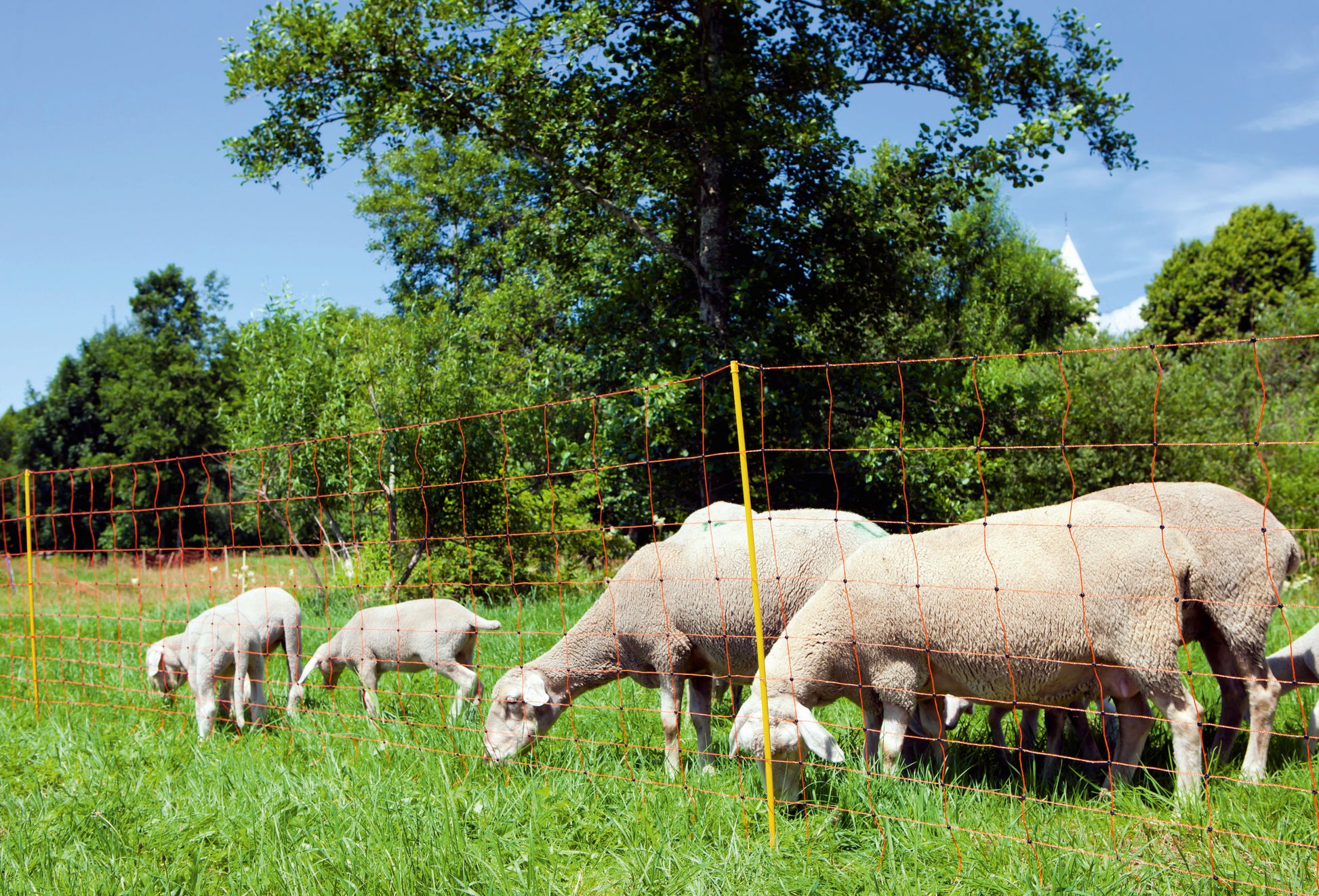 MREŽA OVINET 108cm dvojna - 50m