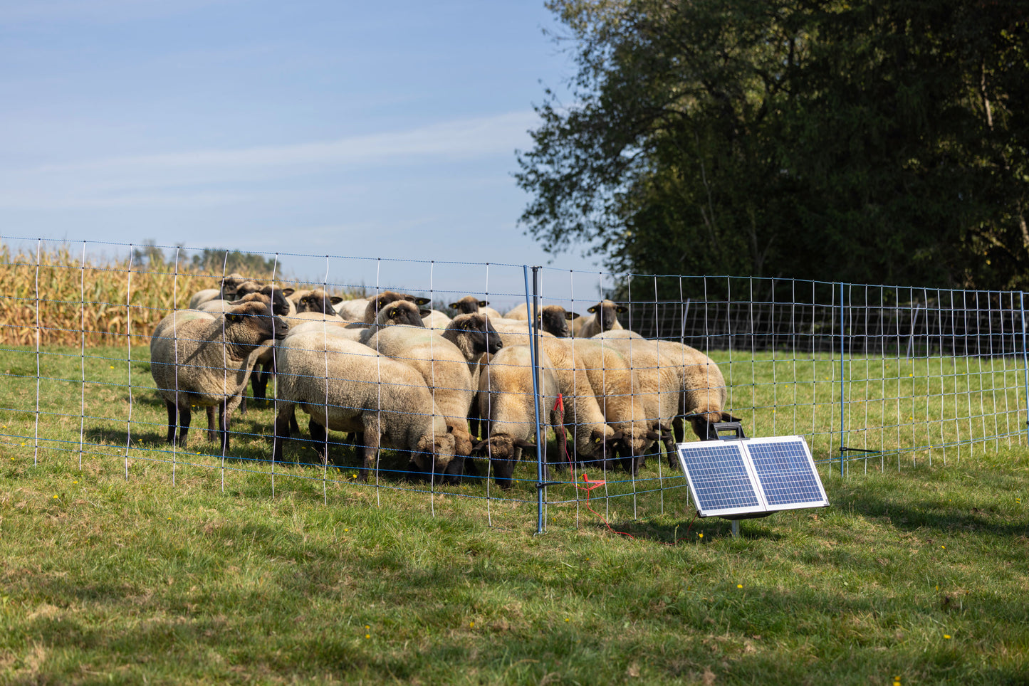 PALICA za podporo 145cmx14mm - 4kos