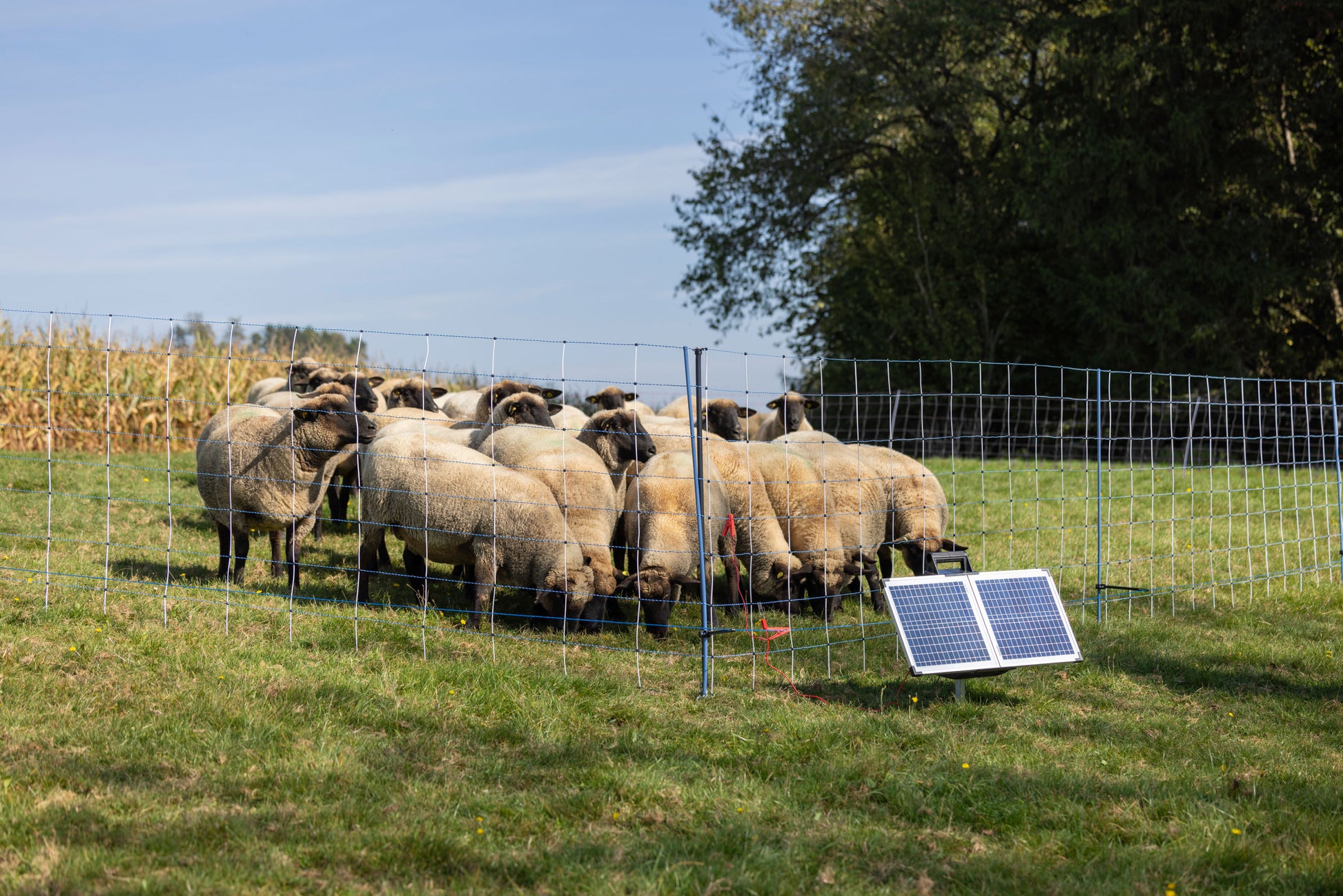 PALICA za podporo 145cmx14mm - 4kos