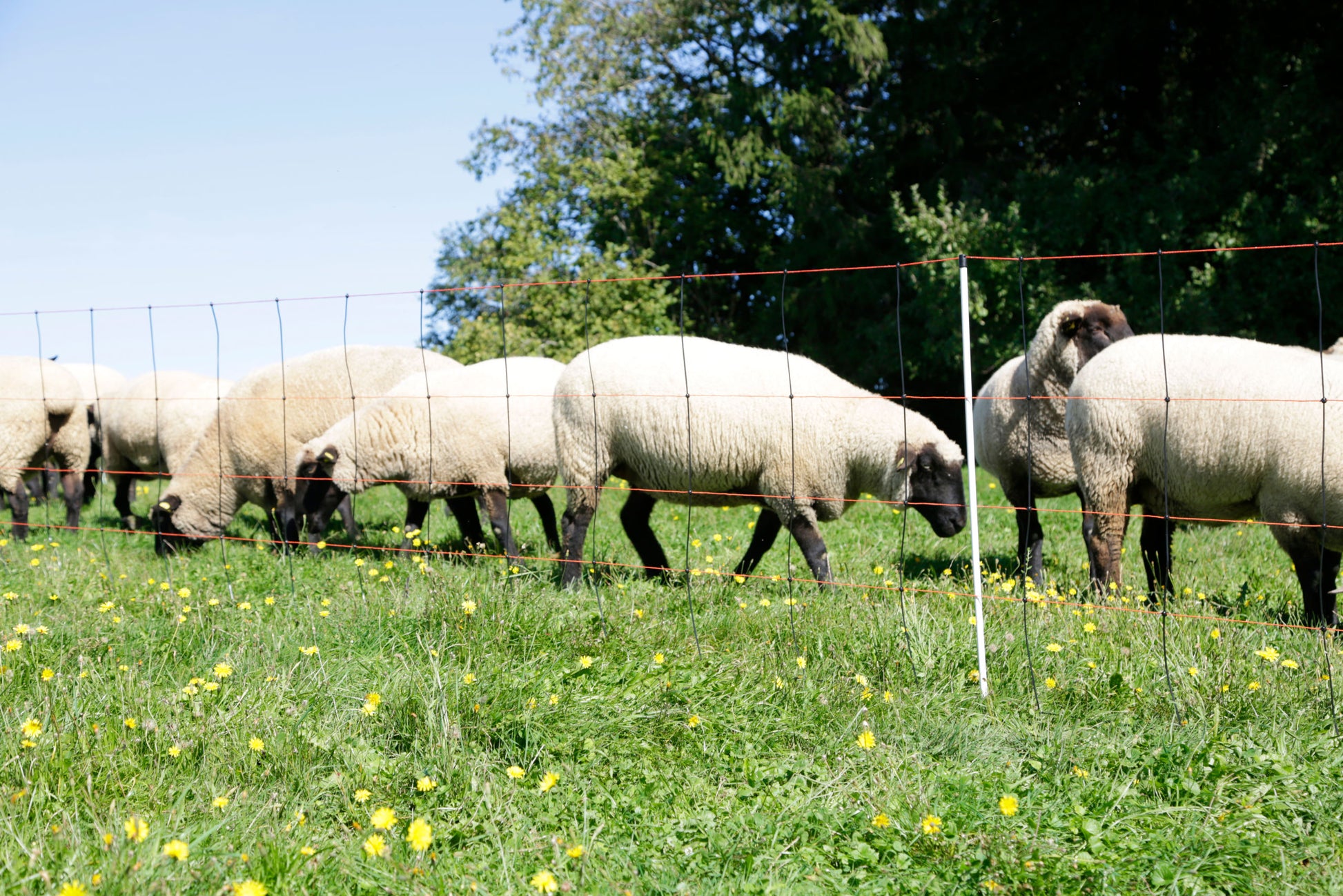 MREŽA TitanLight  90cm enojna - 50m