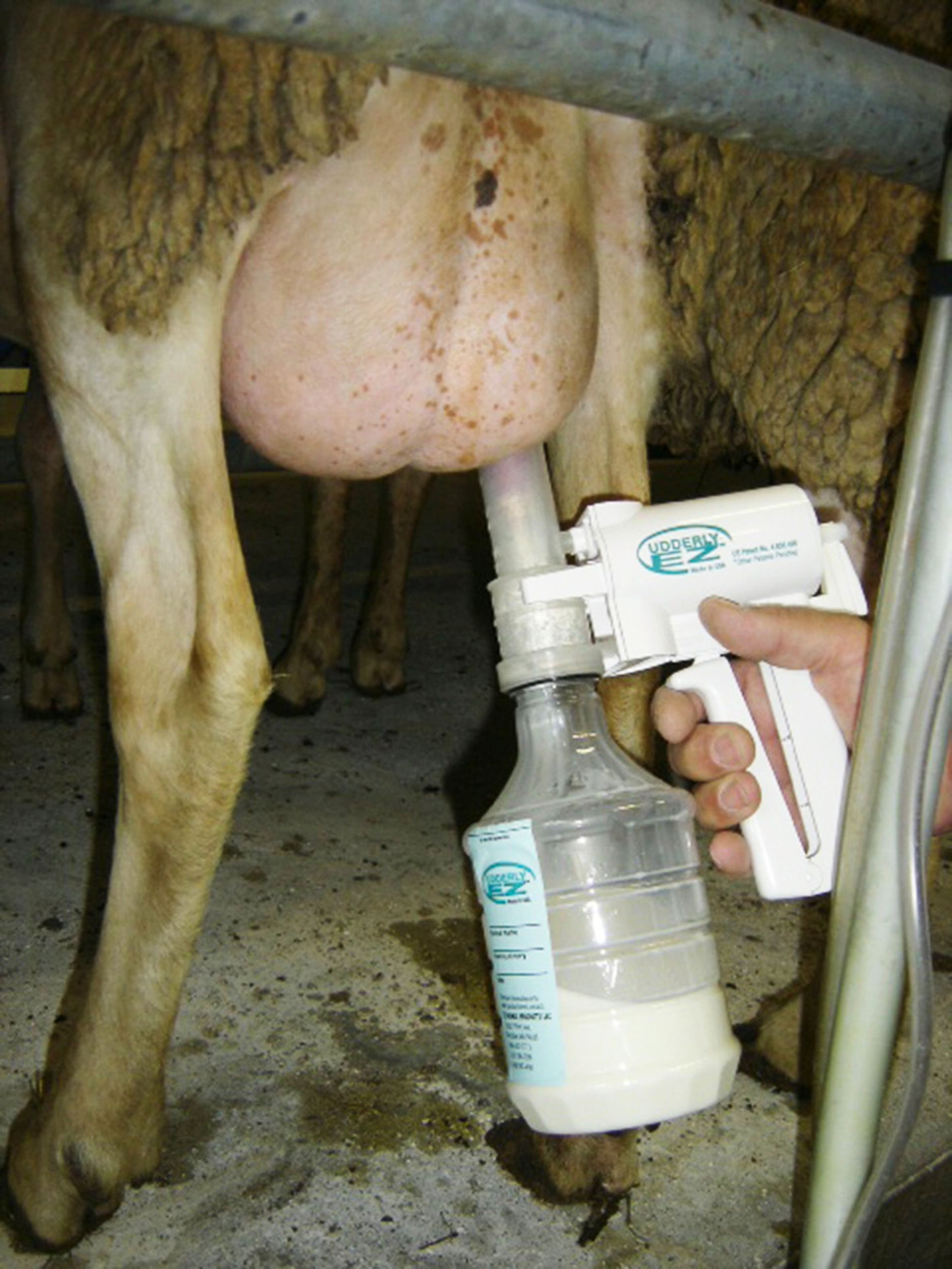 DUDA za Udderly Ez (6kos) DUDA za Udderly Ez (6kos)