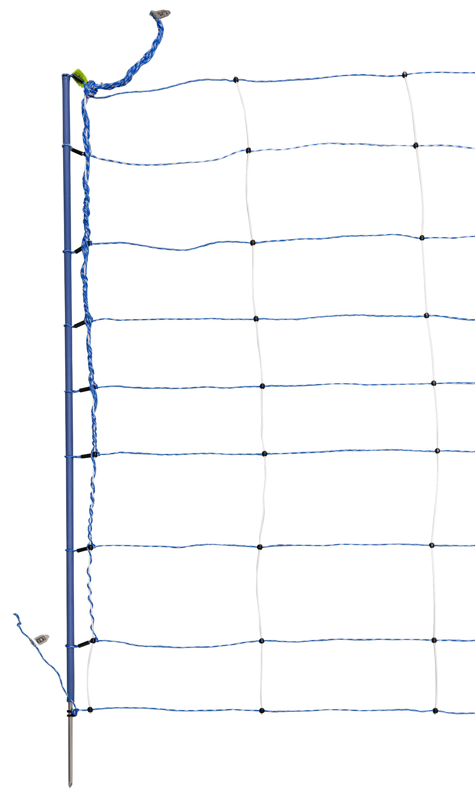 TitanNet Premium, plet., 50 m modra/bela, 122cm, enojna kon.