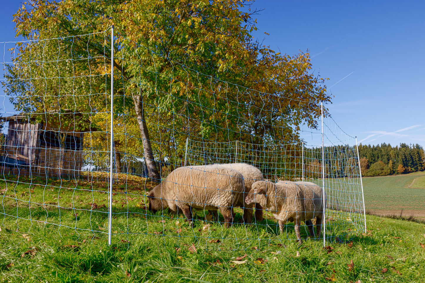 OviNet mreža za ovce modra/bel Višina: 170 cm - dvojna konica