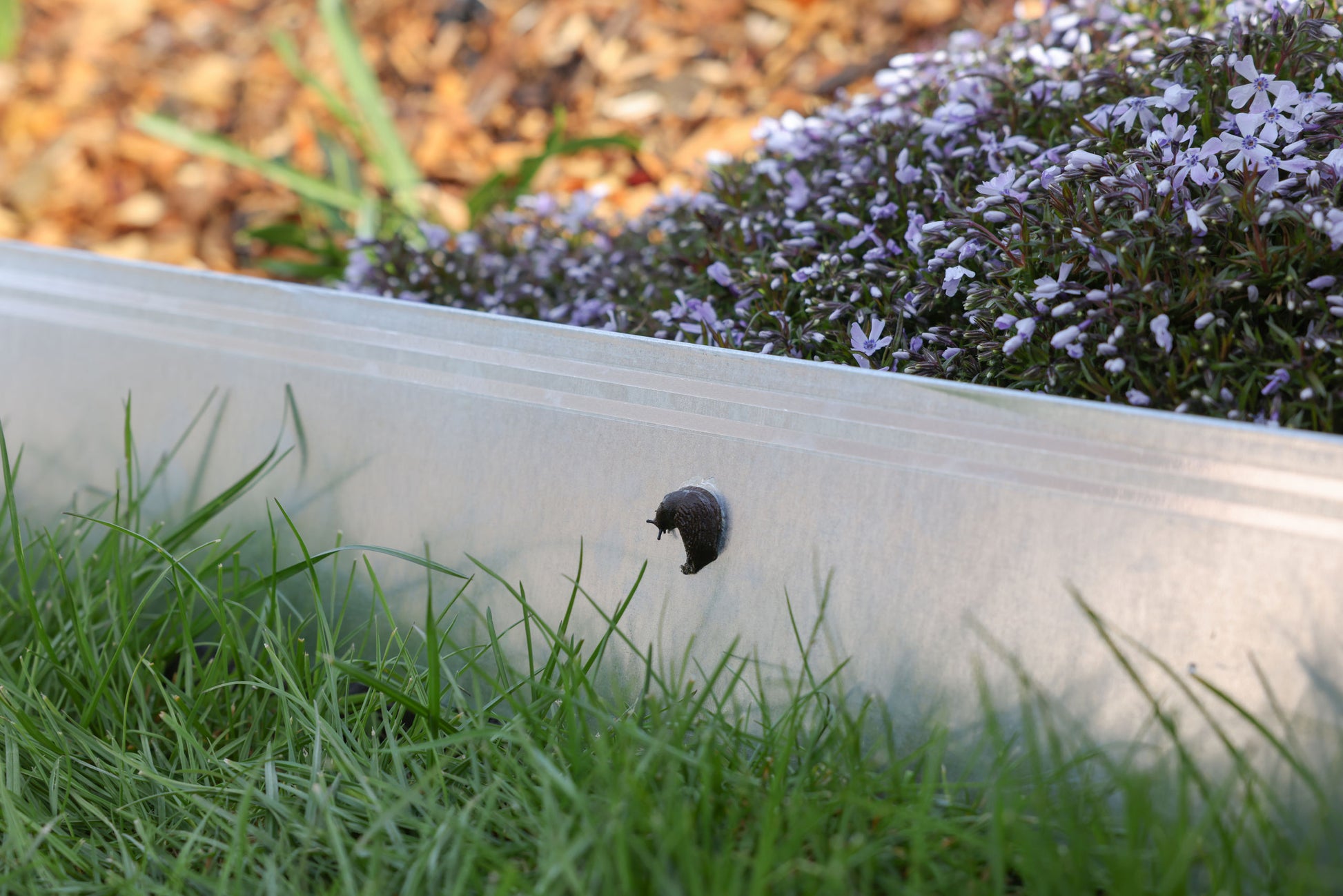 SnailStop ograjni trak 10 m elektricna ograja proti polžem