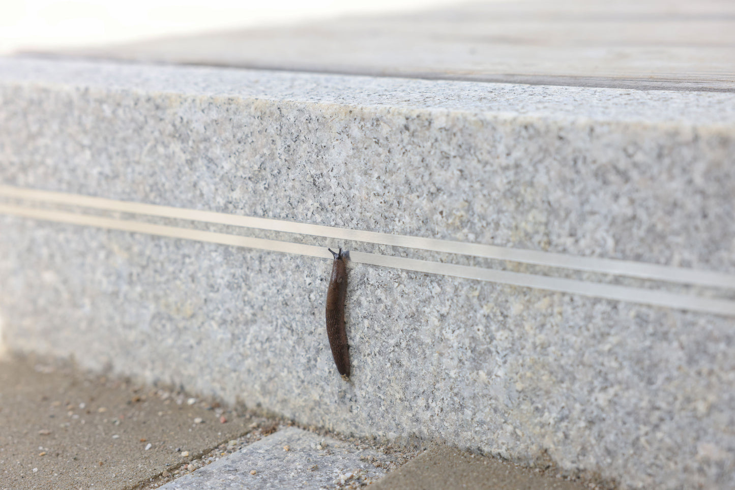 SnailStop ograjni trak 10 m elektricna ograja proti polžem
