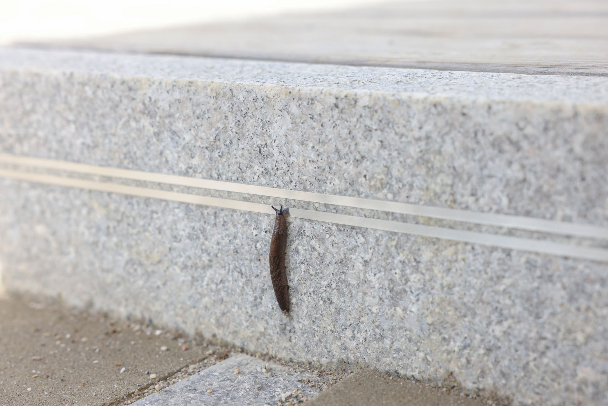 SnailStop ograjni trak 10 m elektricna ograja proti polžem