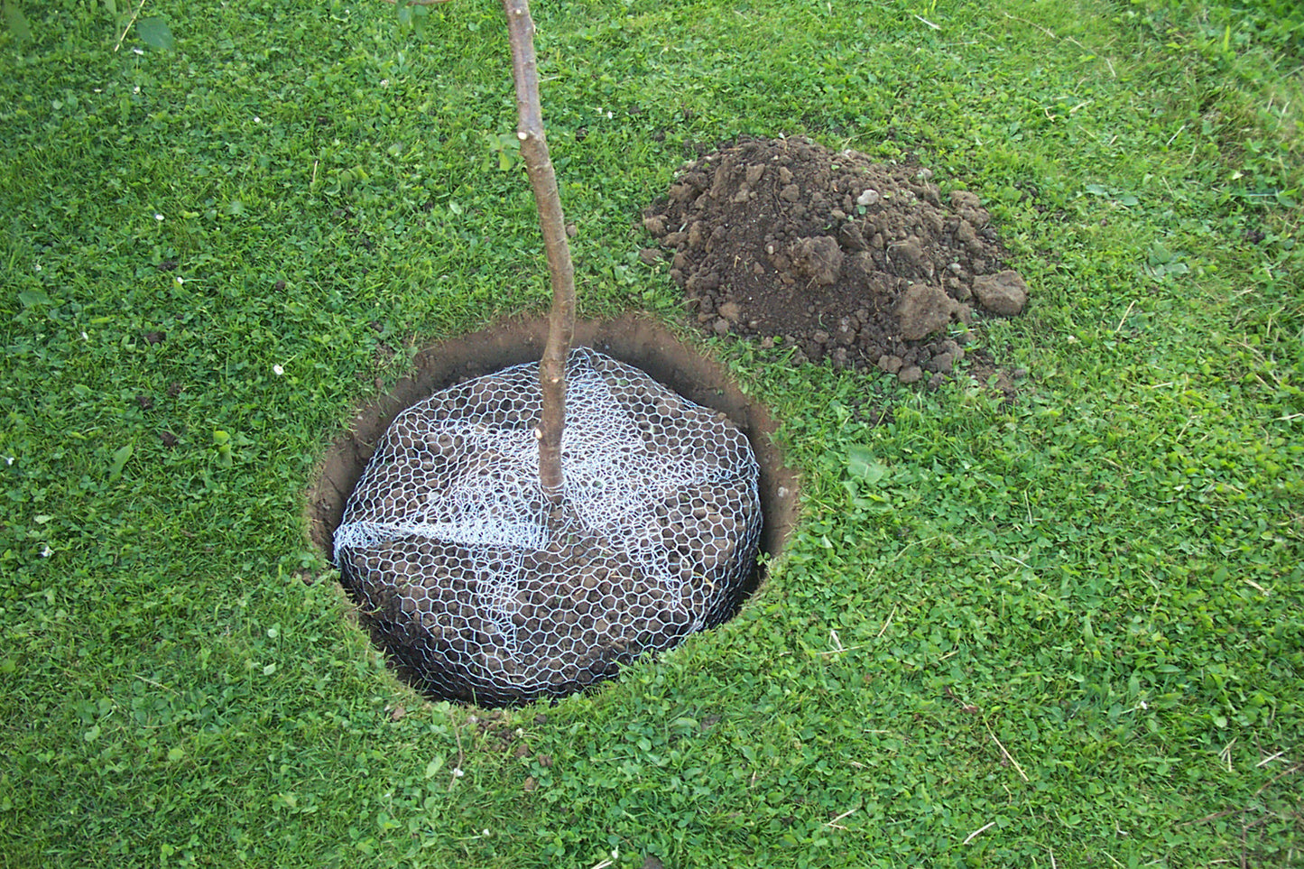 Koš. za zaš. pred vol.,nepoc., majhna, 35 cm
