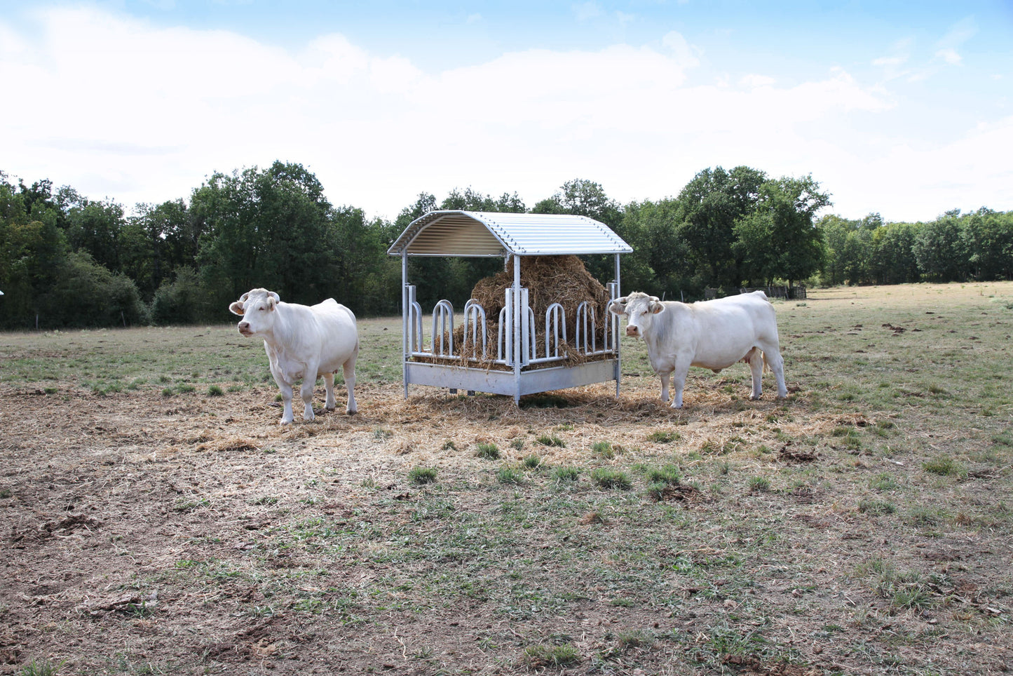 JASLI za bale za 12 živali - 2×2×2,5m Top