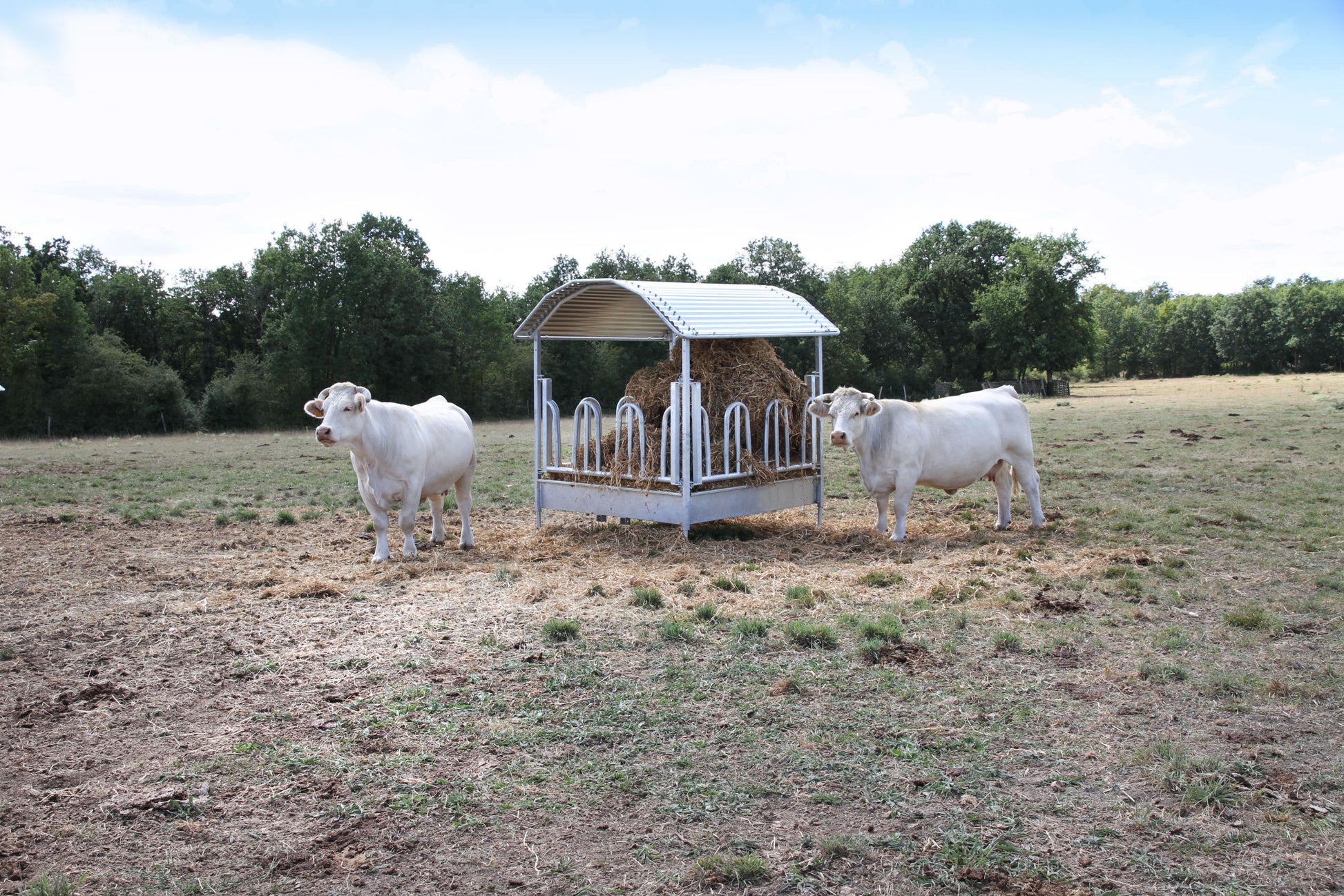 JASLI za bale za 12 živali - 2×2×2,5m Top