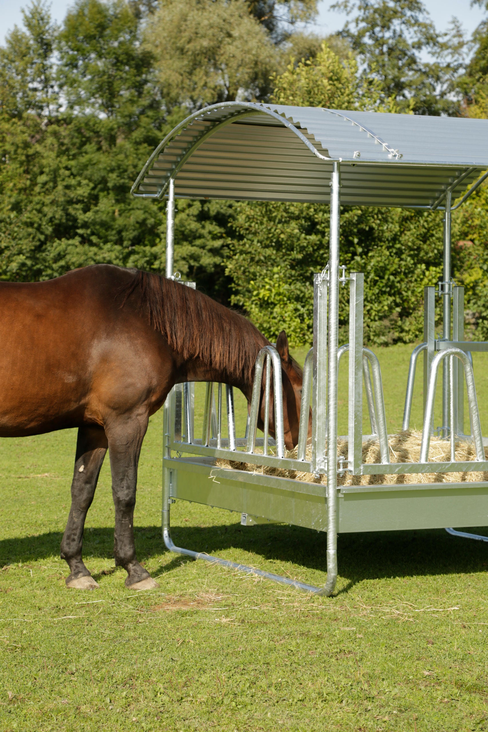 JASLI za bale za 12 živali - 2,3×2,3×2,5m standard