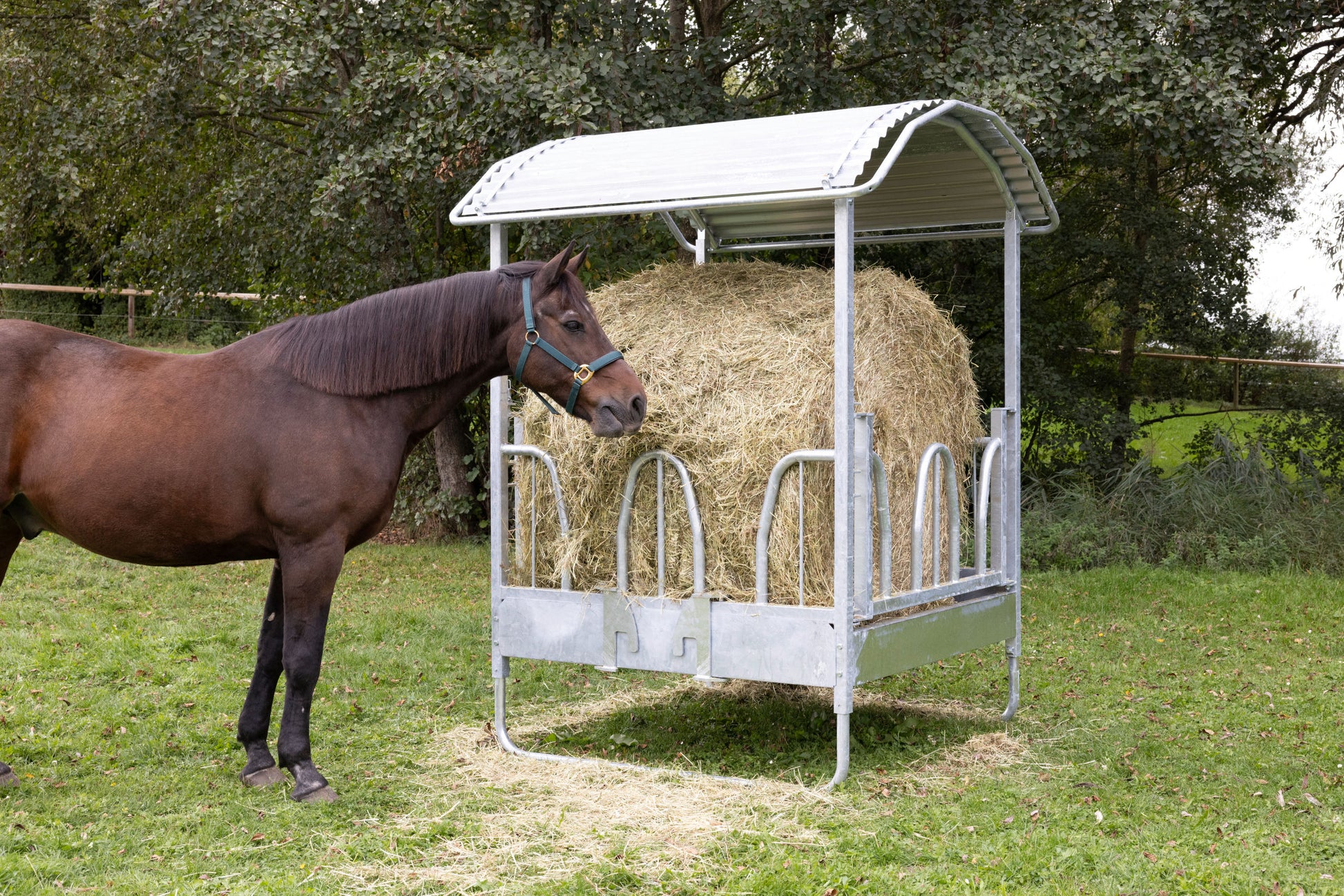 JASLI za bale za 8 živali - 1,5×1,5×2,4m