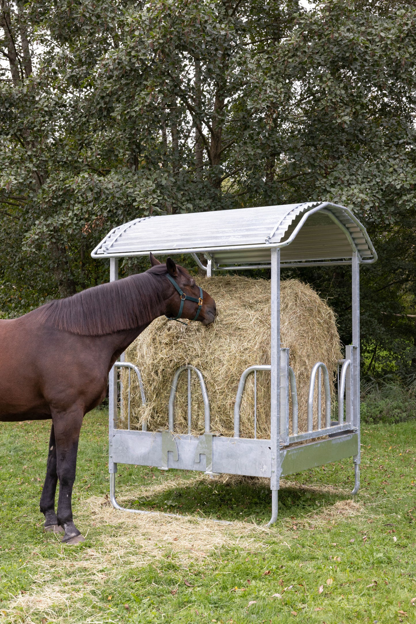 JASLI za bale za 8 živali - 1,5×1,5×2,4m