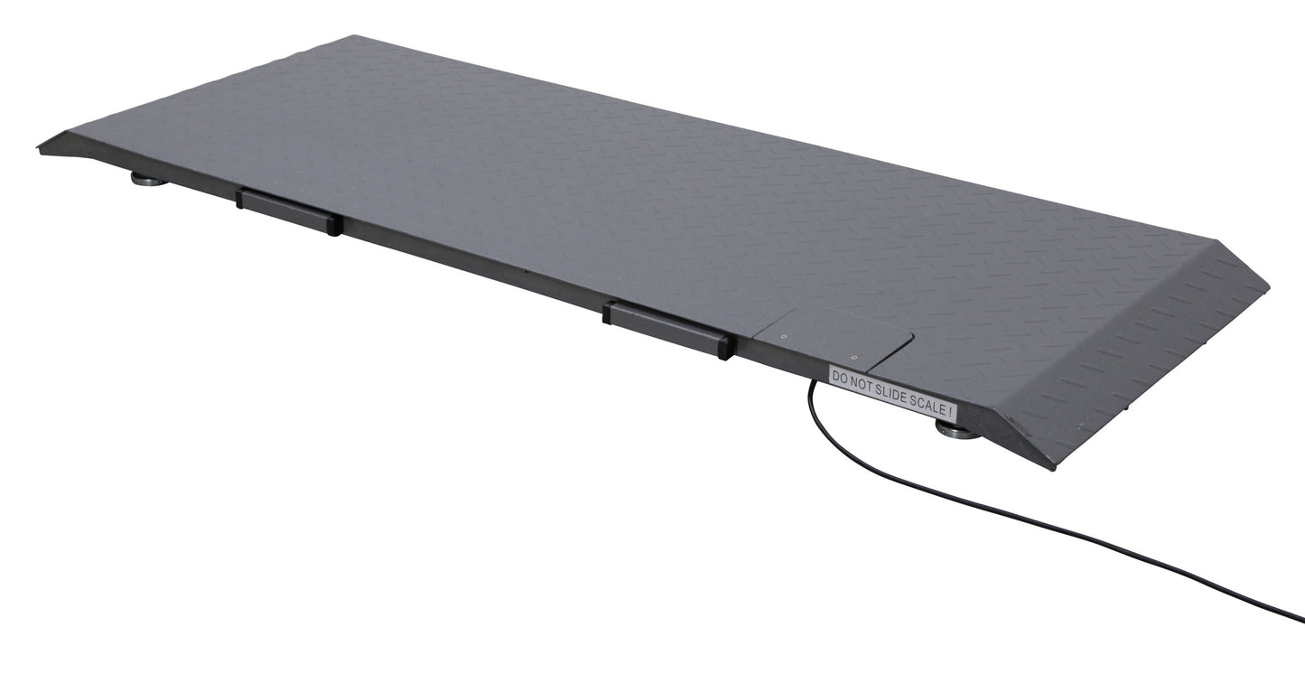 TEHTNICA talna digitalna PS1000 -  500kg