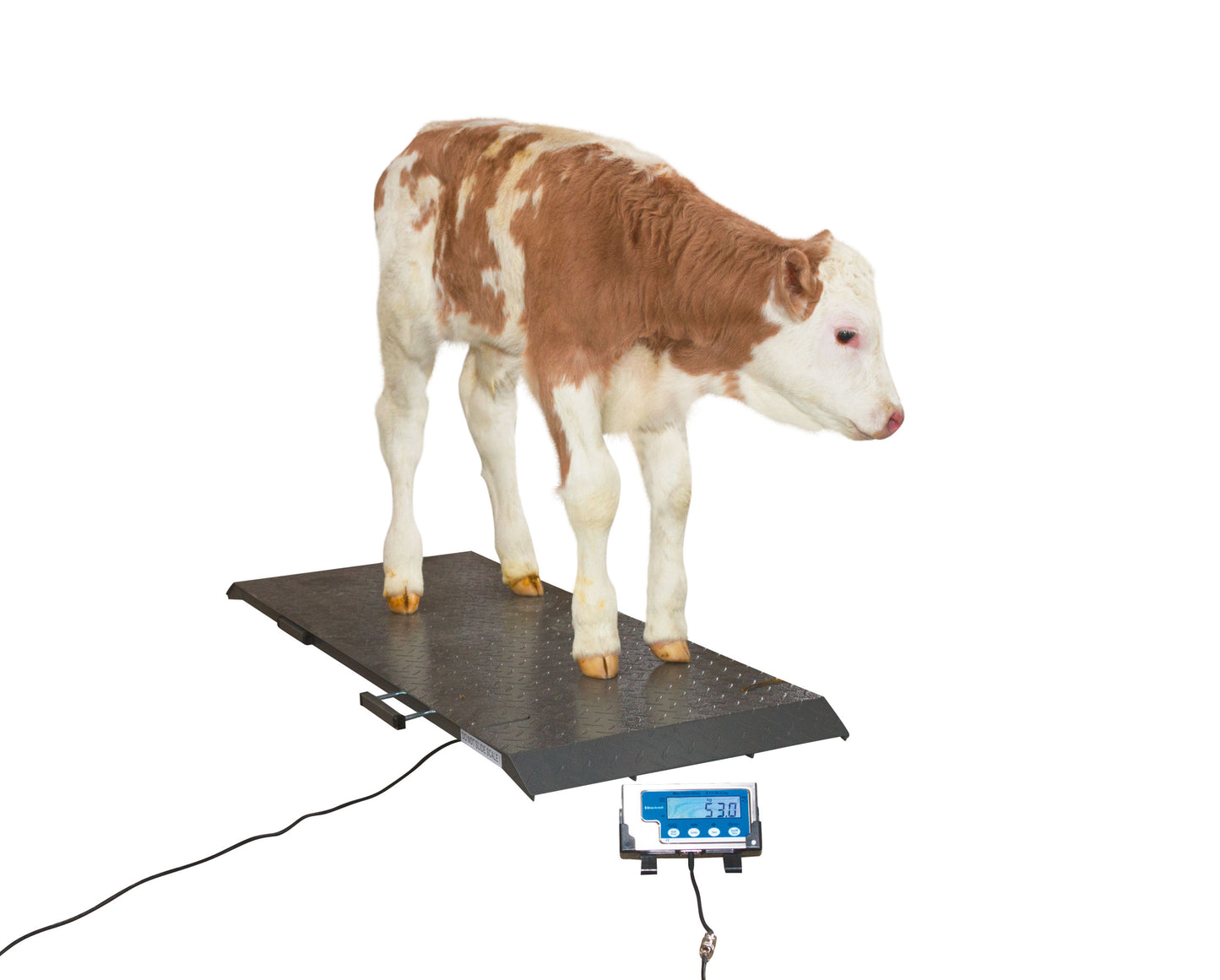 TEHTNICA talna digitalna PS1000 -  500kg