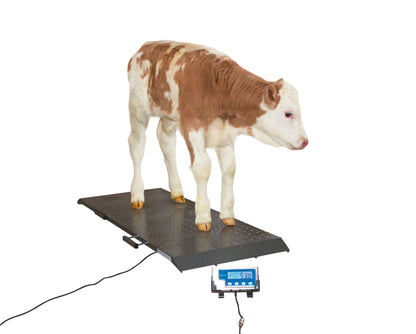 TEHTNICA talna digitalna PS1000 -  500kg