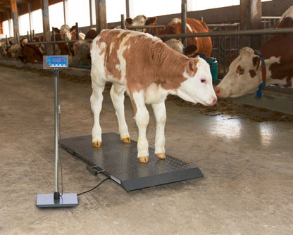 TEHTNICA talna digitalna PS1000 -  500kg