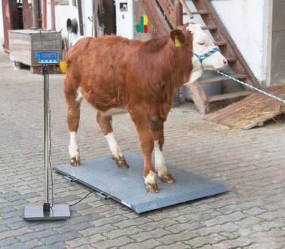 TEHTNICA talna digitalna PS2000 - 1.000kg
