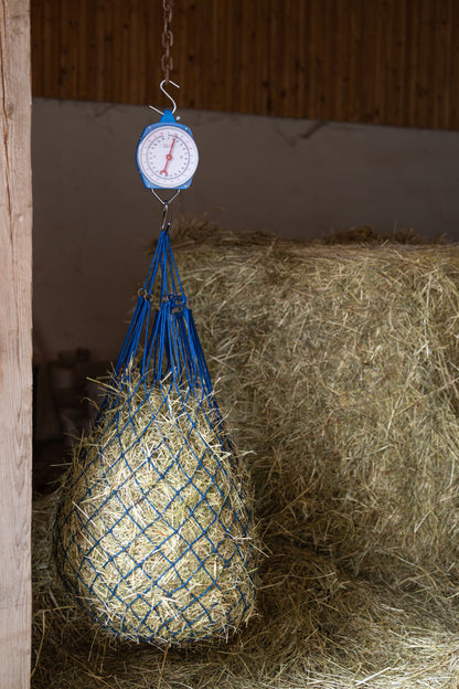 Analogna tehtnica, 100 kg modra