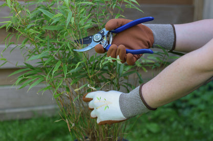 Rokavica Bamboo, vel. 10 rjava, penasta prev.iz lateksa