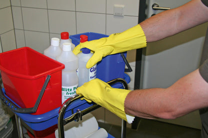 ROKAVICE Latex Protex -  8