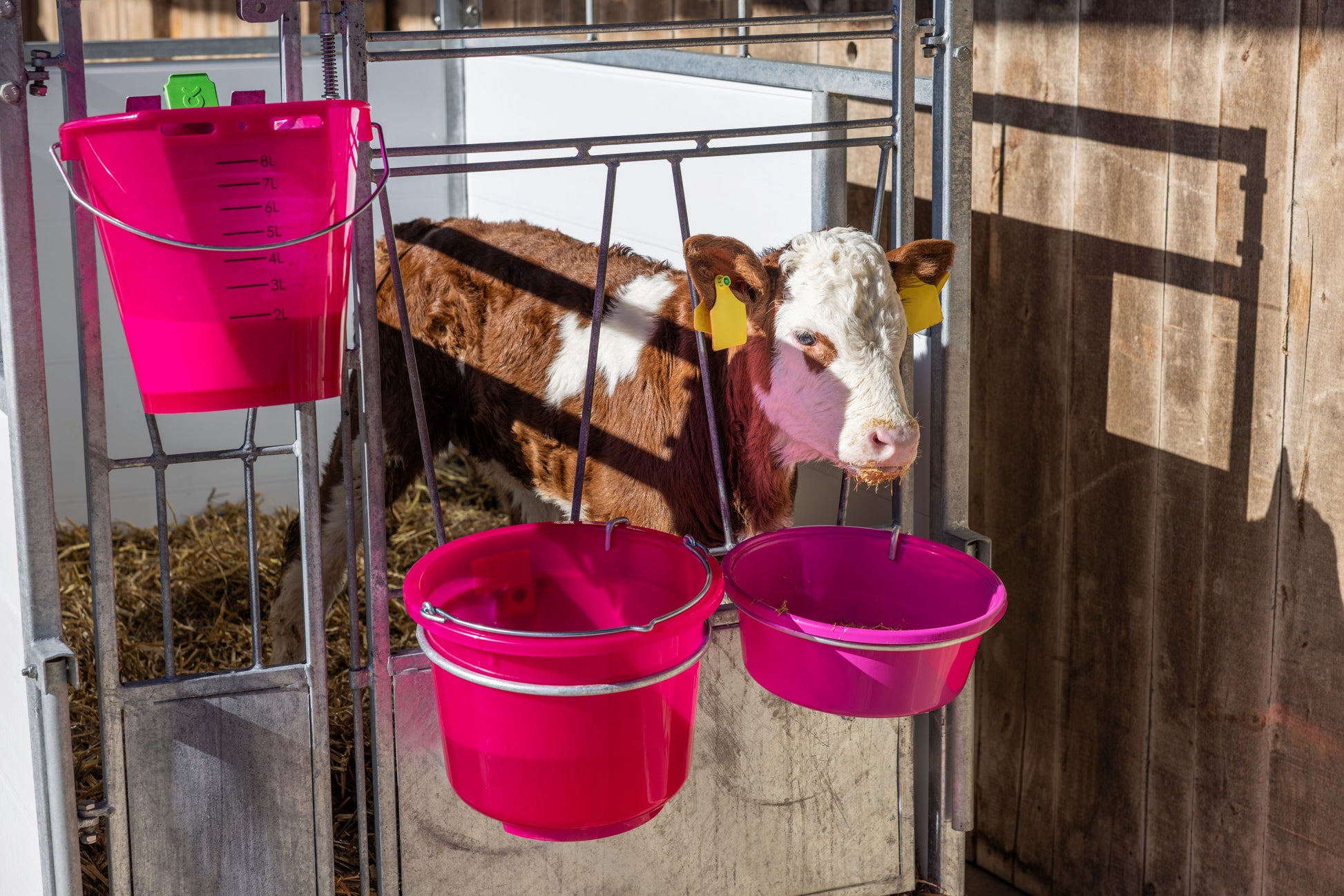 VEDRO top - PVC 12l prosojno pink
