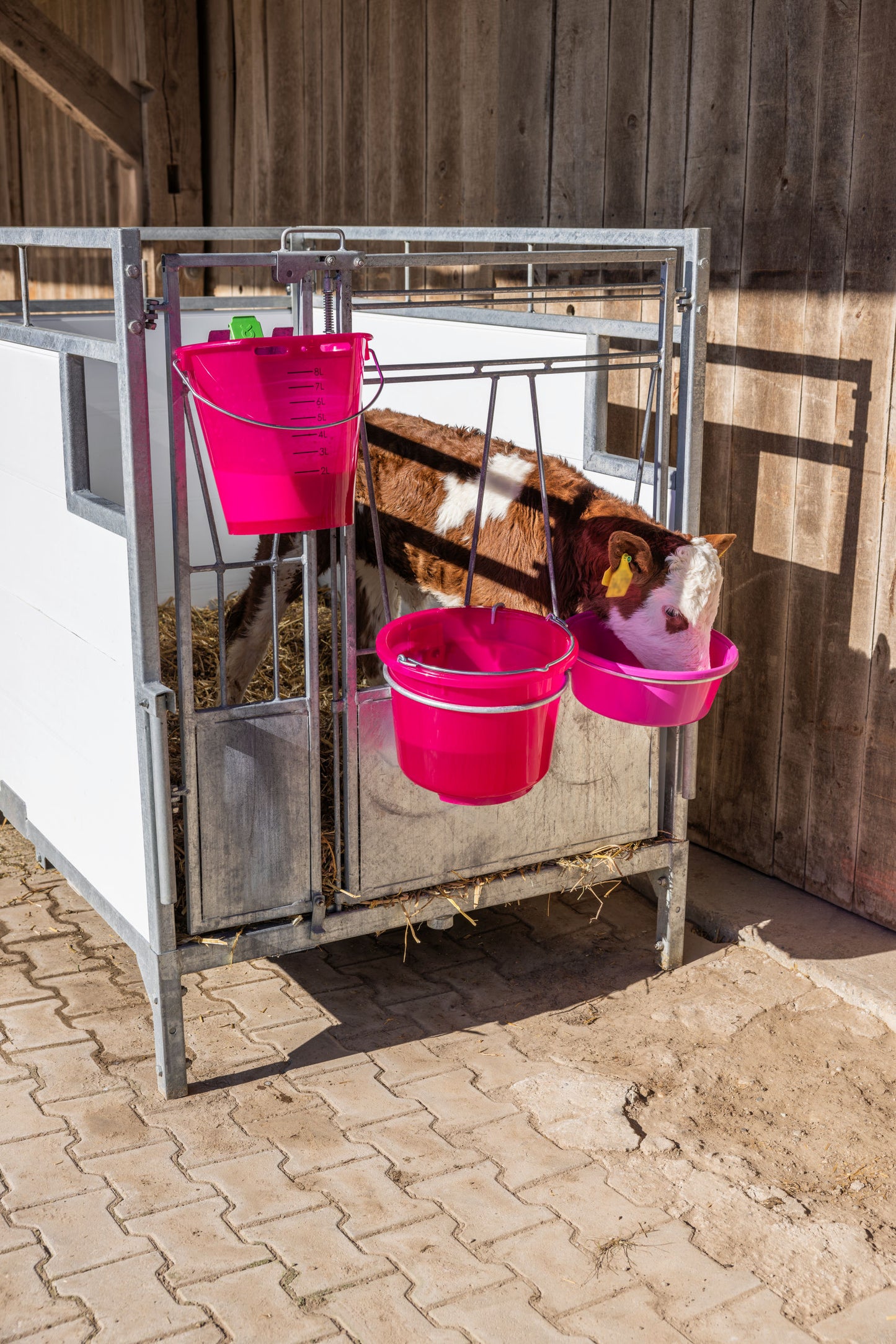 VEDRO top - PVC 12l prosojno pink