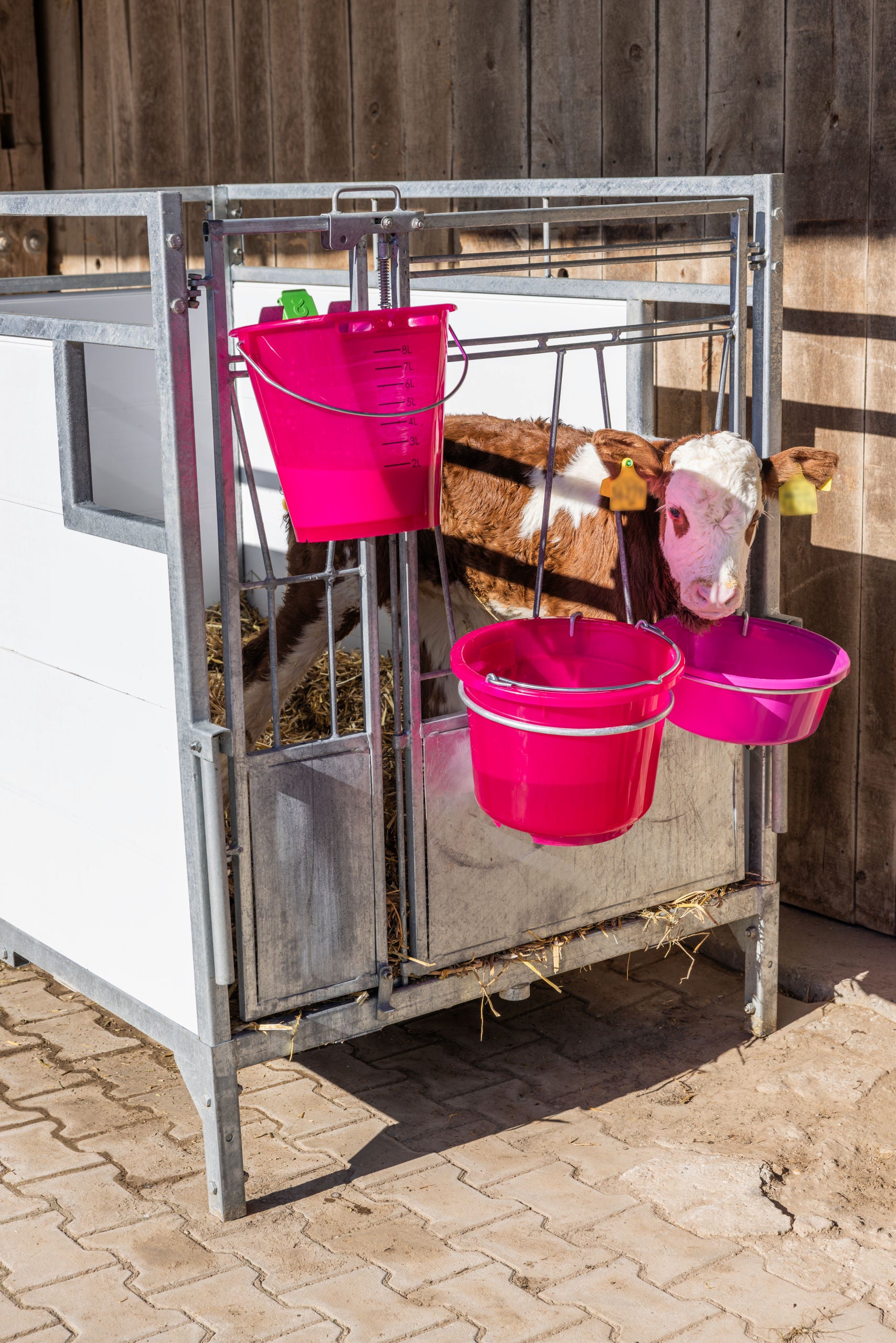 VEDRO top - PVC 12l prosojno pink