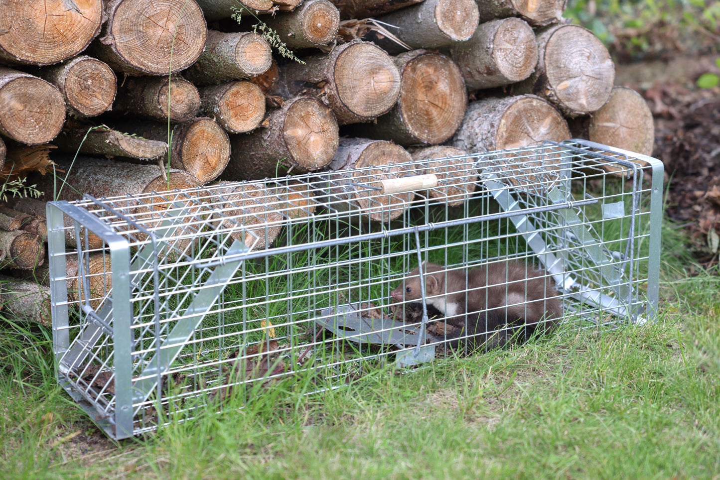 PAST žicnata Predator Alive Super - 105 × 26 × 30cm