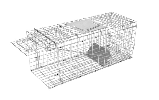PAST žicnata Predator Alive Ecoflex - 66 × 23 × 24cm