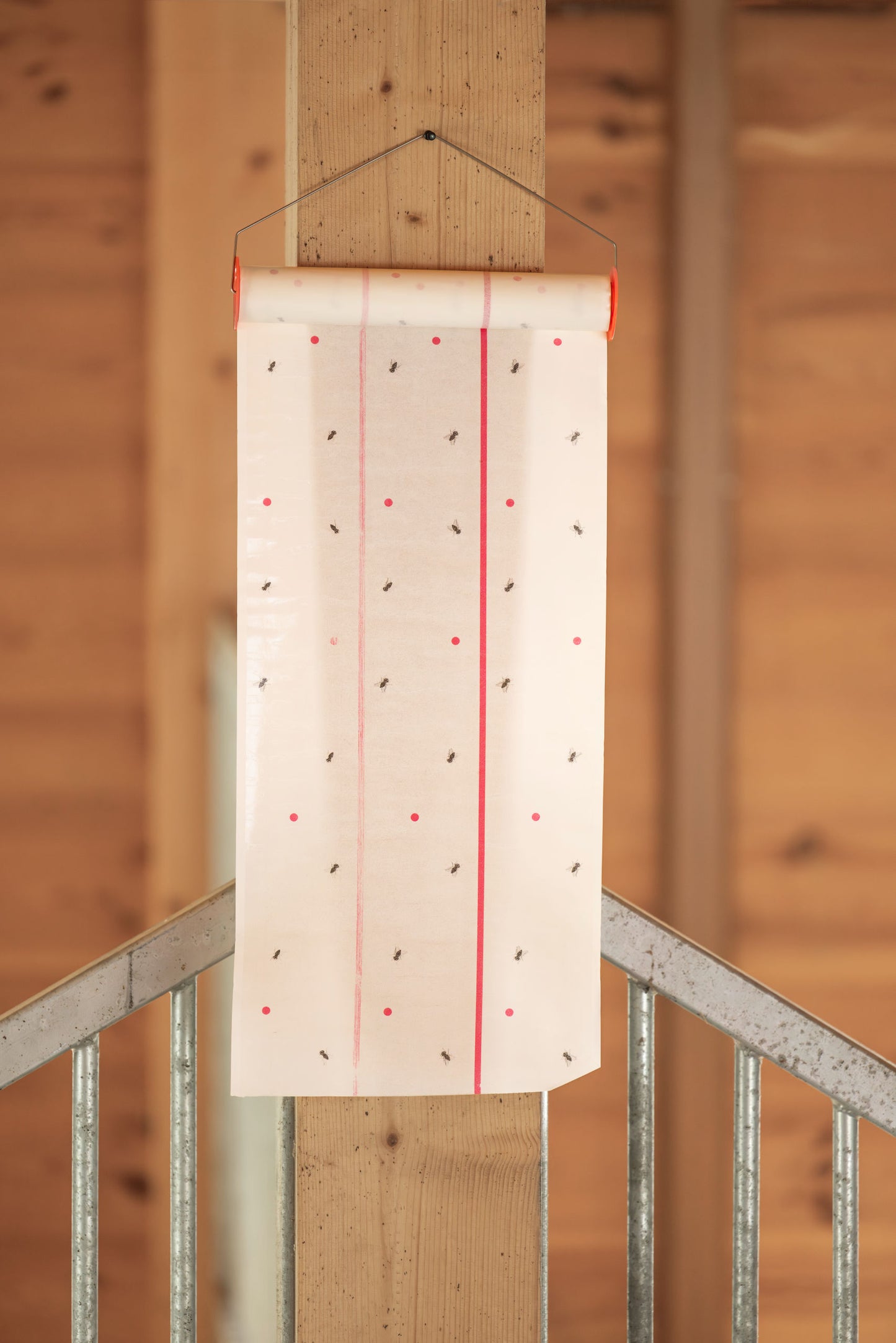 CIT Muscaroll, 7 m x 30 cm vklj. s kovinskim držalom