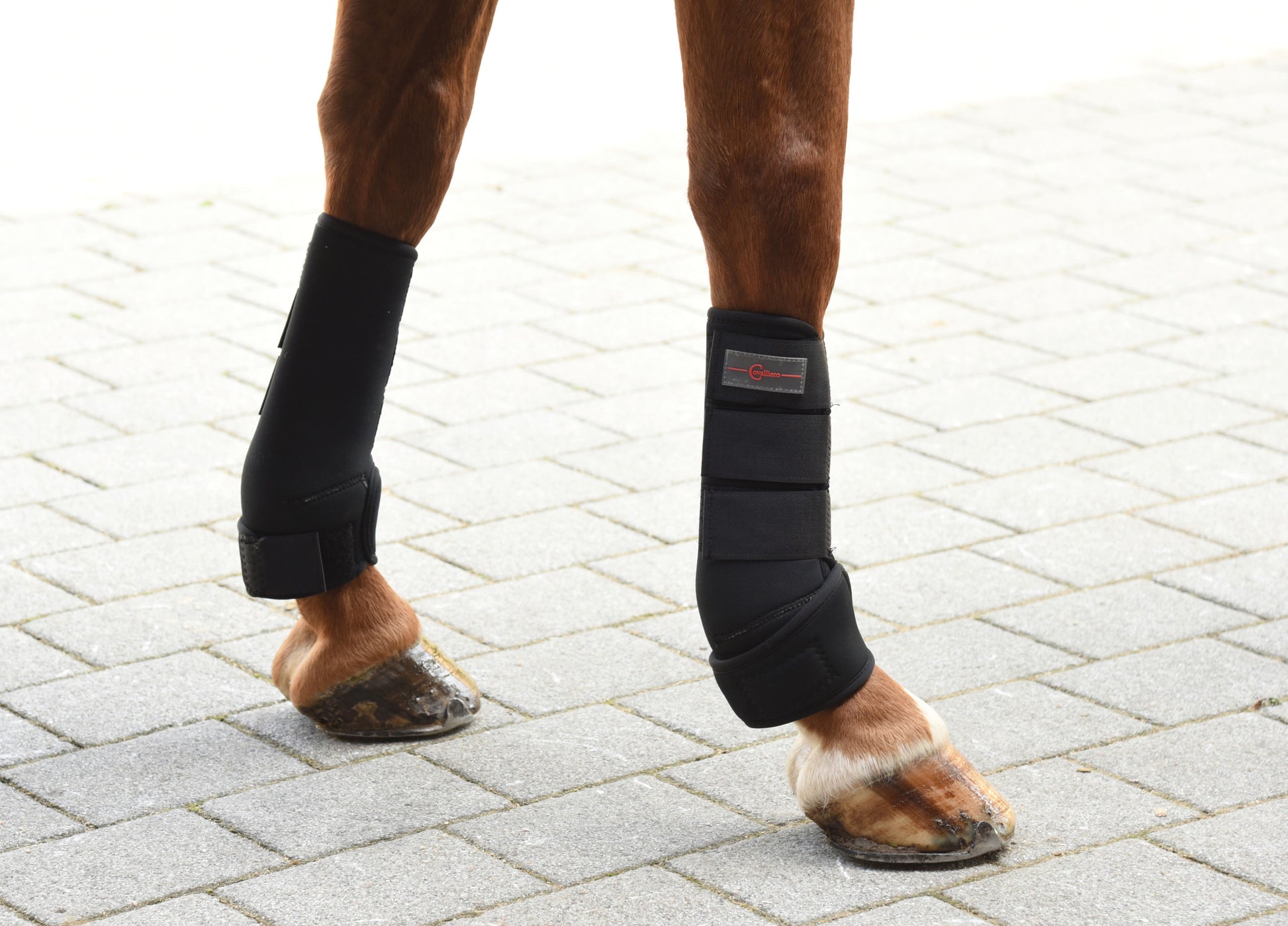 Sinteticni gumijasti škornji, crni, za ponije, komplet 4
