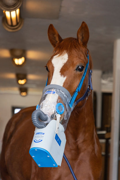 Baterijski ultrazvocni inhalator AirOne Flex komplet