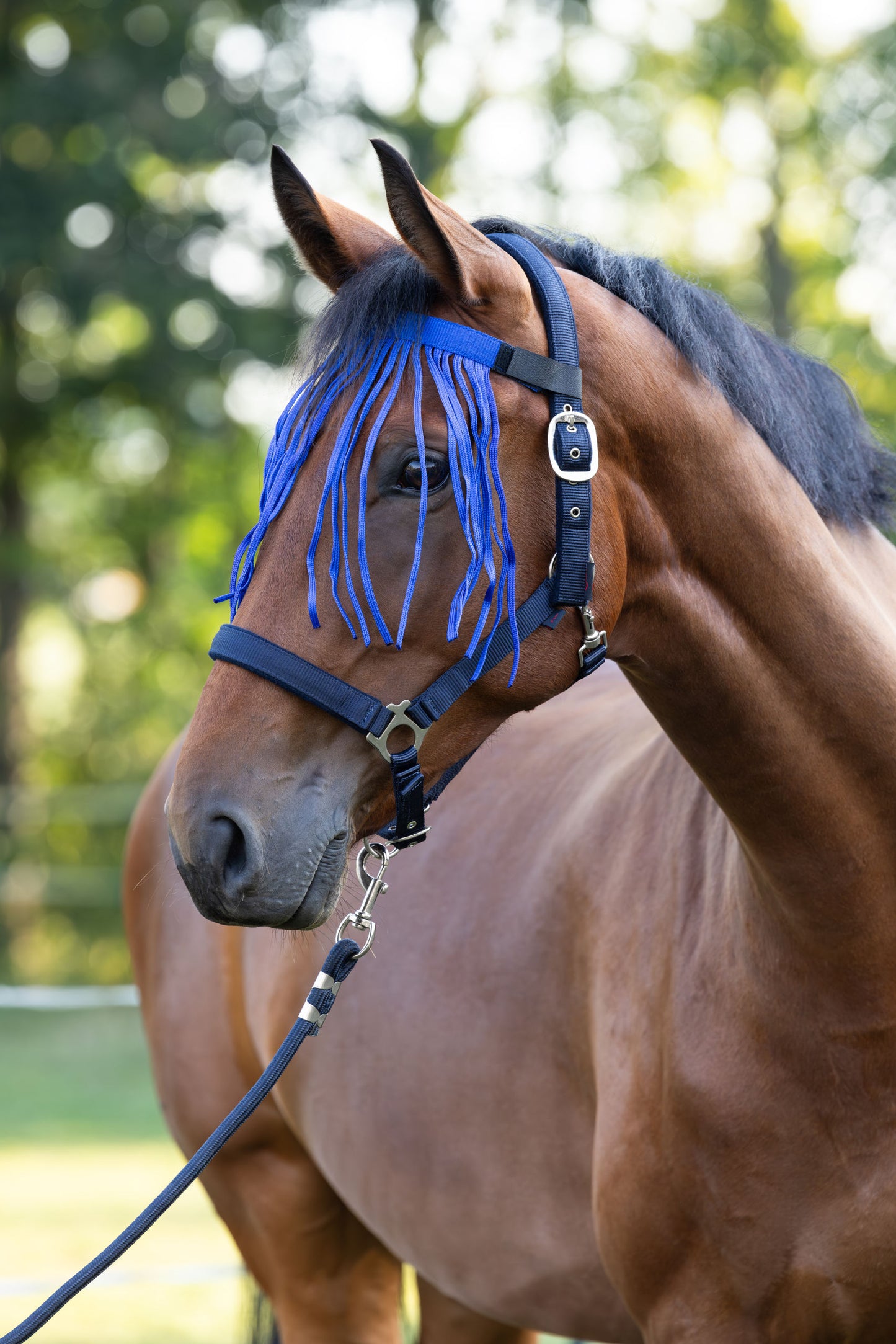 Frotirka z velcro zaponko, modra, pony