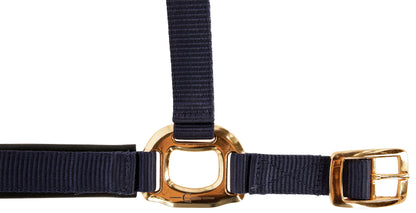 Oder TopLine, mornarica, pony
