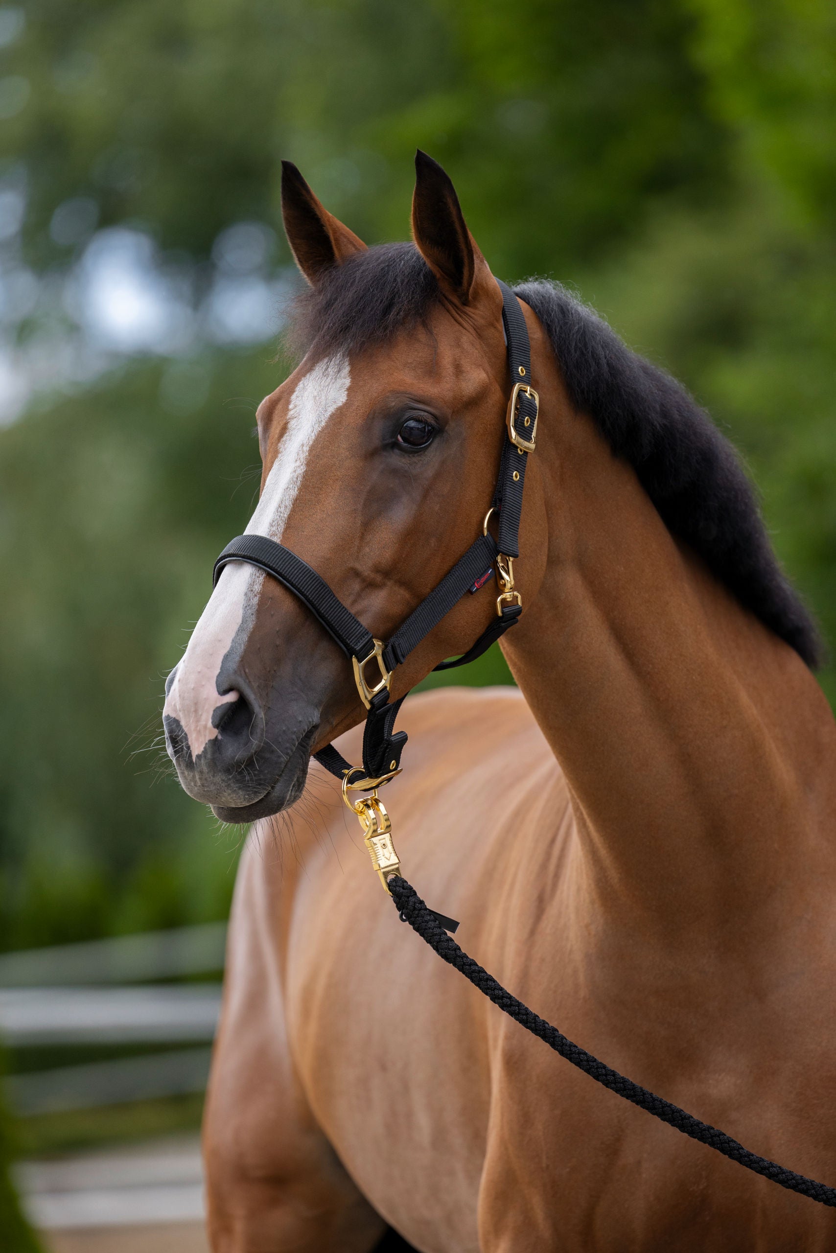 Oprsnica TopLine, crna, pony