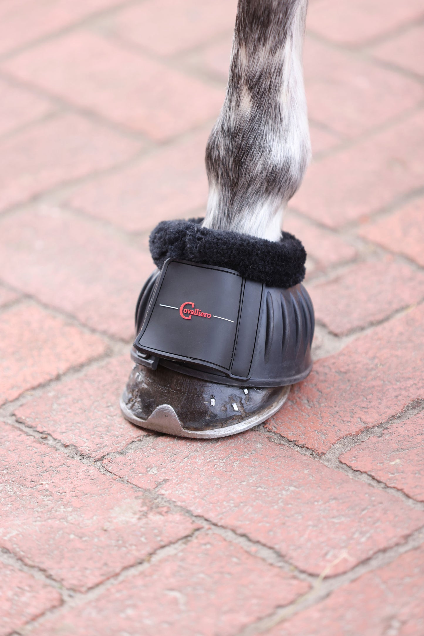 Kopitni zvonci gumijasti Teddy Fleece, crni, pony