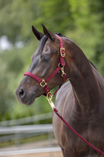 Ovratnik Classy, velikost merlot, pony